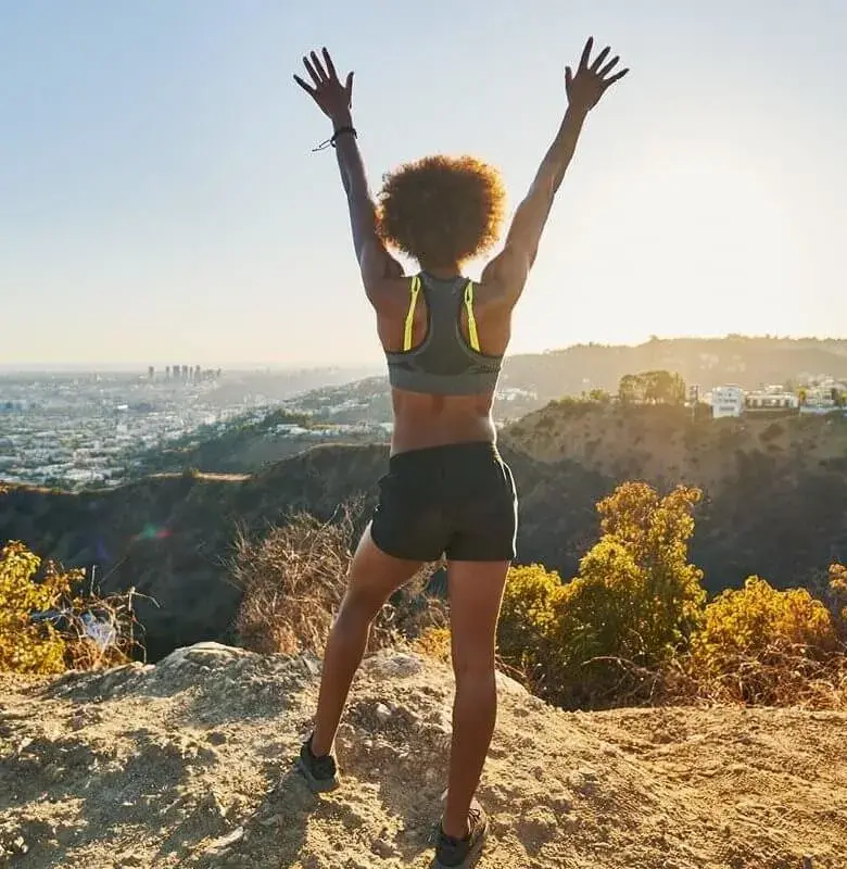 DPDL-rotator4-mobile